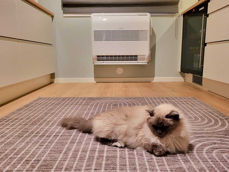Toshiba-gulvmodell_katt-som-koser-seg-i-varmen_800x600.jpg