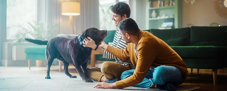 Toshiba-varmepumper_familie-med-hund_1000x400.jpg